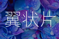 翼状片