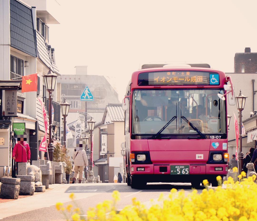sandobus